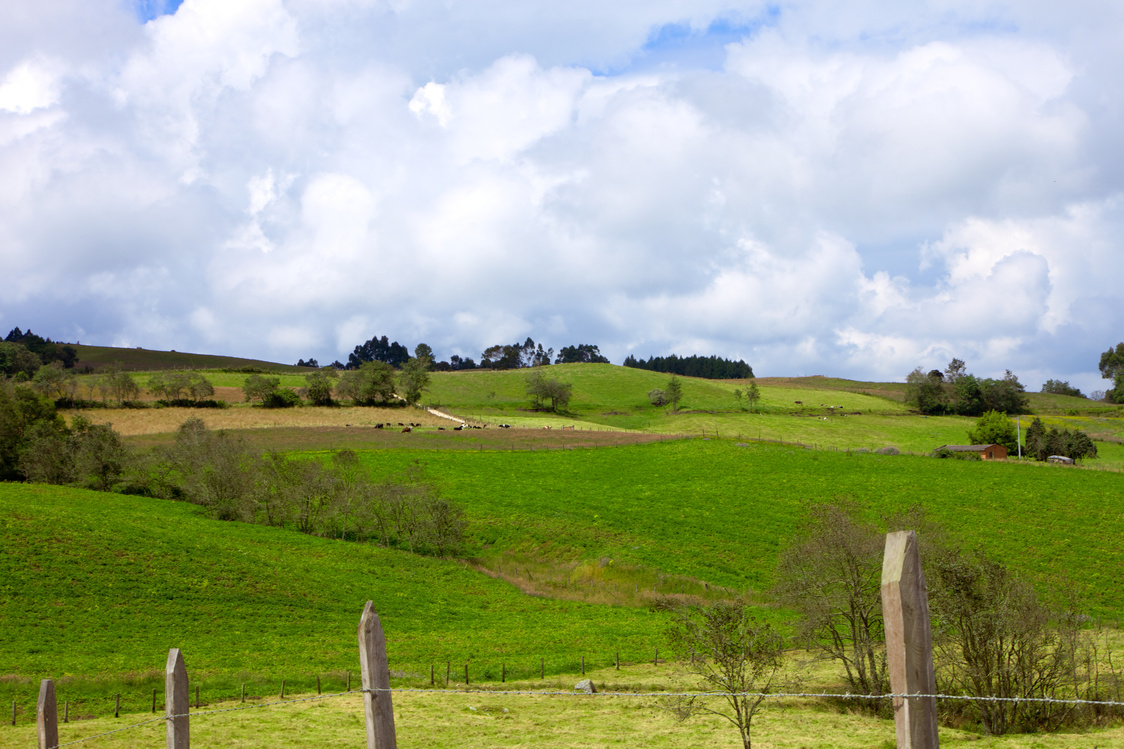 Guatavita, Colombia - The Peaceful, Quiet, Pastoral, Andean Countryside Near The Town Of Guatavita On The Andes Mountains.