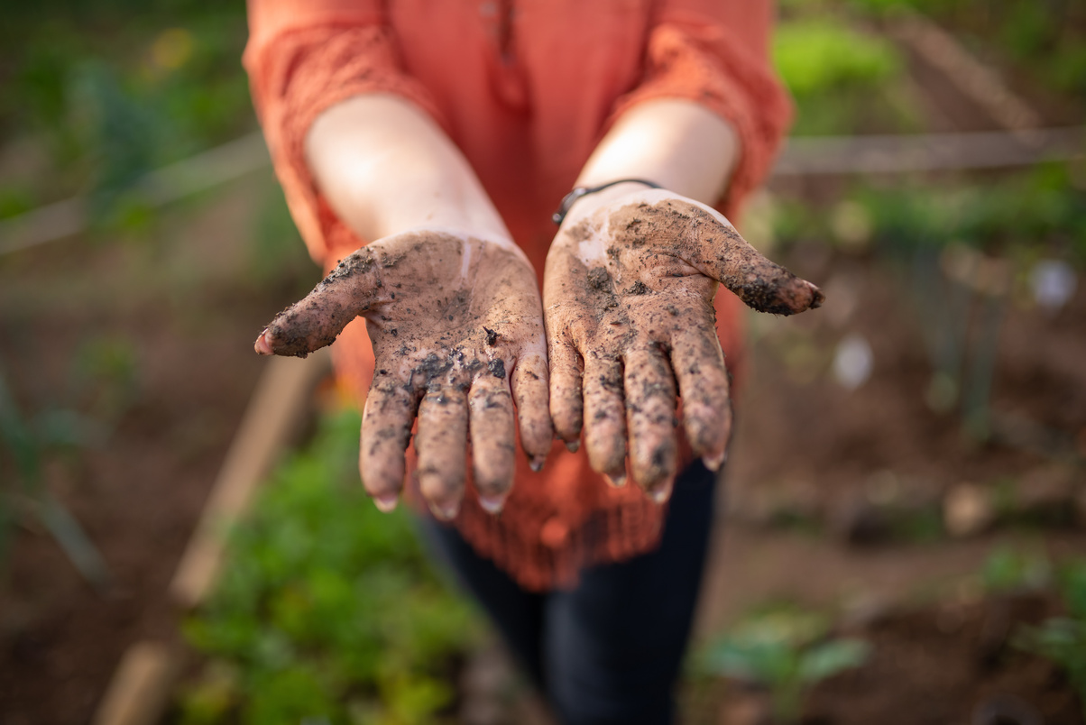 Close-Up Shot of a Hands Covered with Mud