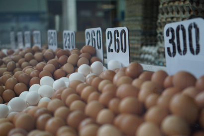 Paloquemao Market