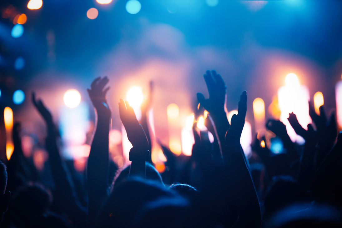 Picture of party people at music festival